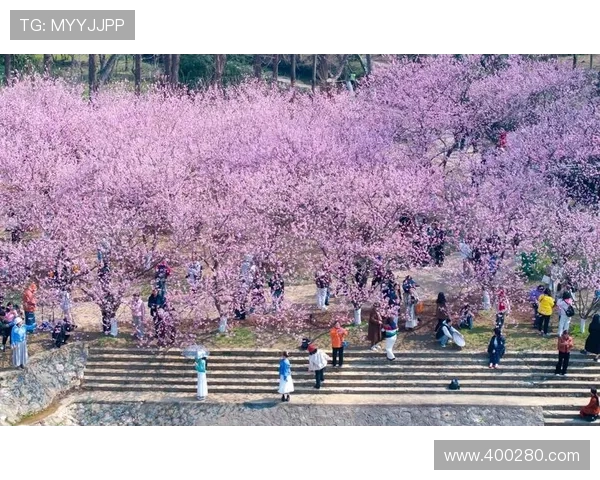 [视频]踏青赏花享春光 “春日经济”活力旺.